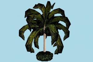 Palm Tree palm, tree, plant, grass, plants